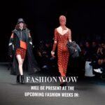 17847859026026100_fashionwow___