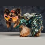 18003535447869311_fashionwow___